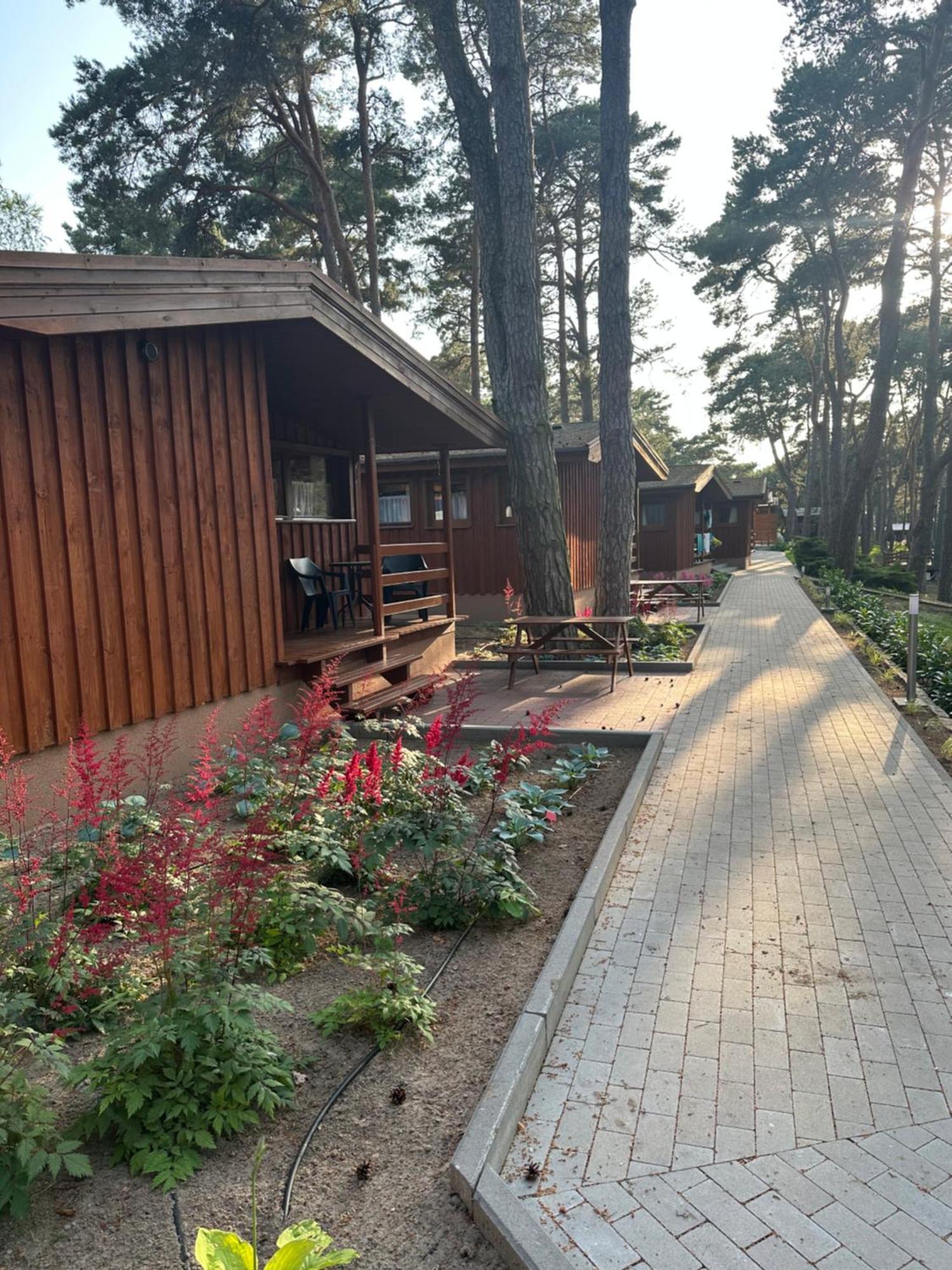 Apartmán Campus Karolina Brenno Exteriér fotografie